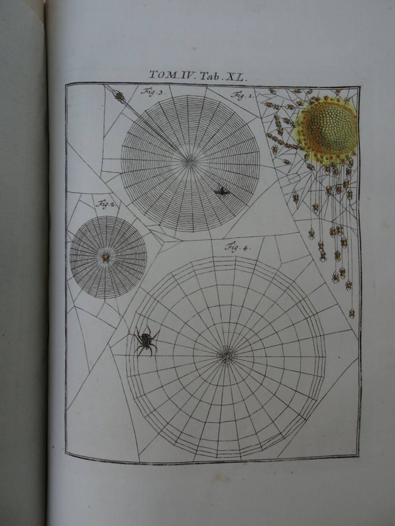 Rösel von Rosenhof, August Johan and C.FC. Kleemann. - De natuurlyke historie der insecten. Voorzien met naar `t Leven getekende en gekoleurde Plaaten. Volgens eigen ondervindling beschreeven, door de Heer August Johann Rösel, van Rosenhof, Miniatuur-Schilder. Met zeer nutte en fraaie Aanmerkingen...