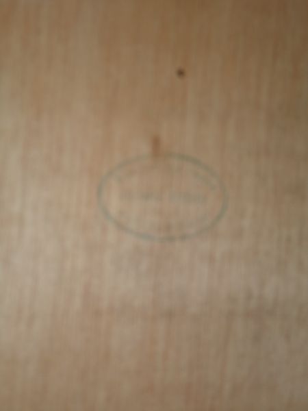  - Geologische schetskaart van Suriname volgens R.Yzerman