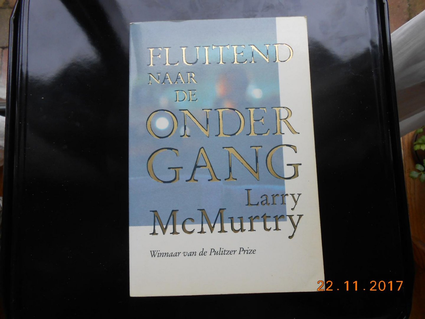 Mcmurtry - Fluitend naar de ondergang / druk 1