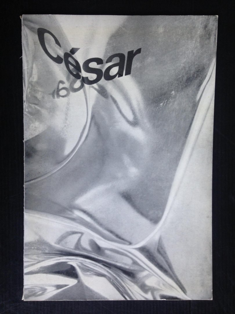  - Catalogus nr 396 Csar Stedelijk Museum