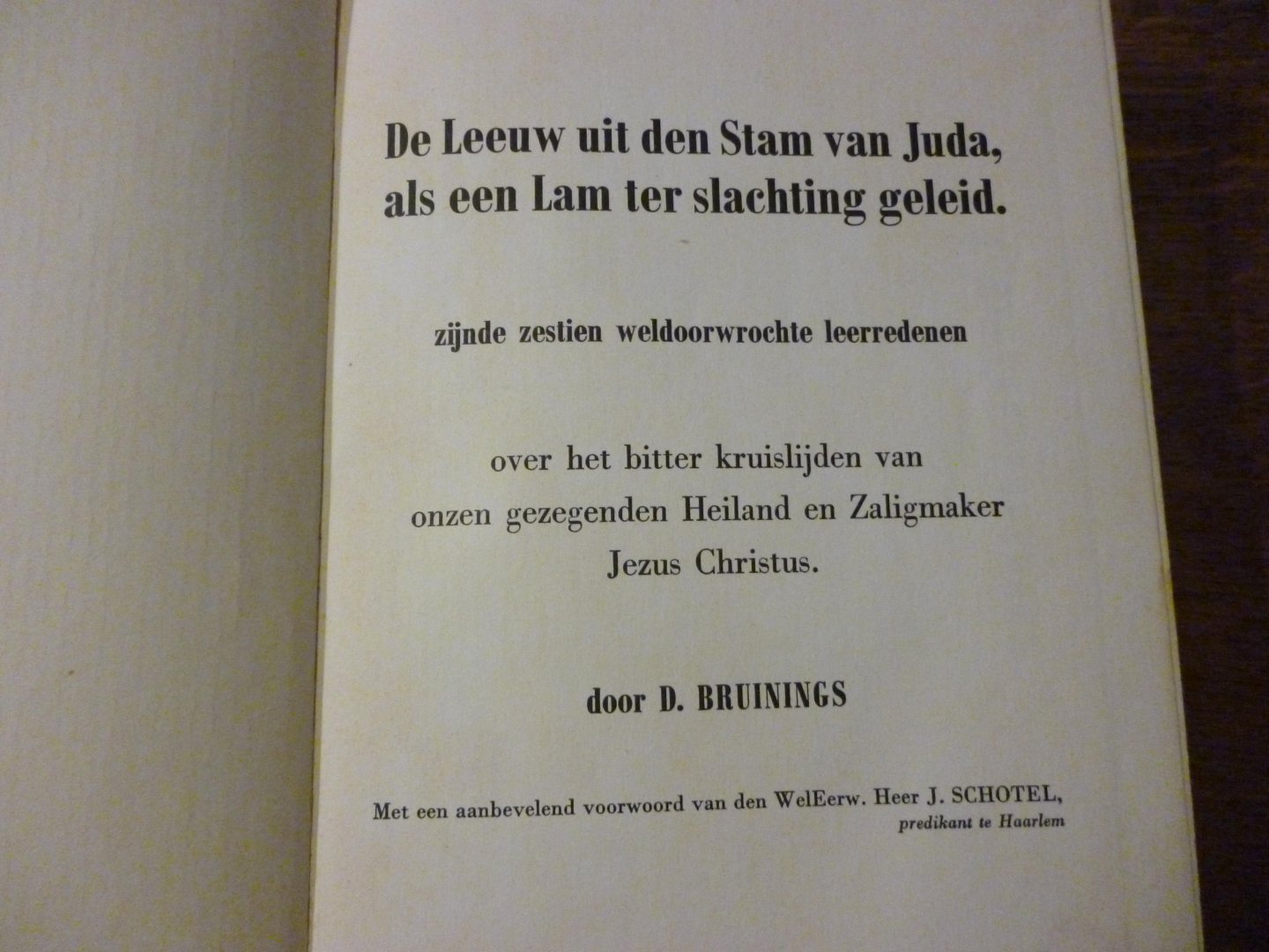 Bruinings D. - De leeuw uit de stam van Juda