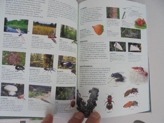 samenstellers - vlinders en andere insecten   bomen en struiken vogels