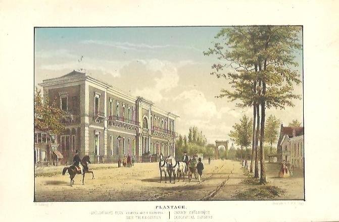 AMSTERDAM - ARTIS - Plantage. Zoölogische tuin (Natura Artis Magistra).