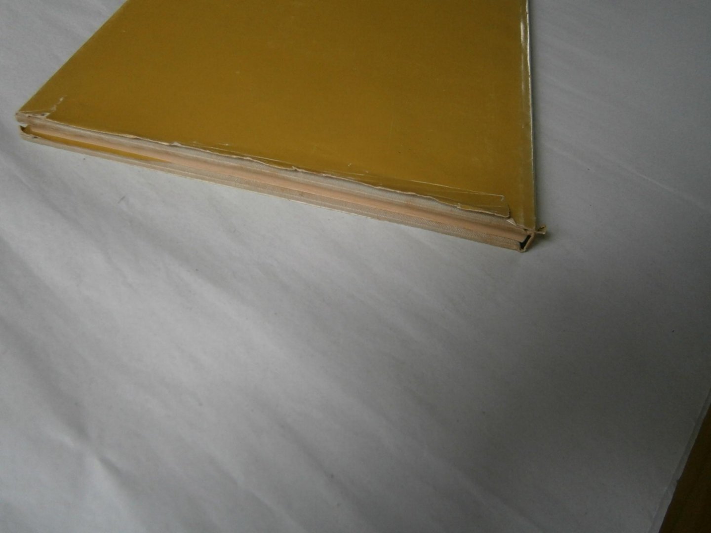 Wurster, Carl - Chemie und Lebensstandard