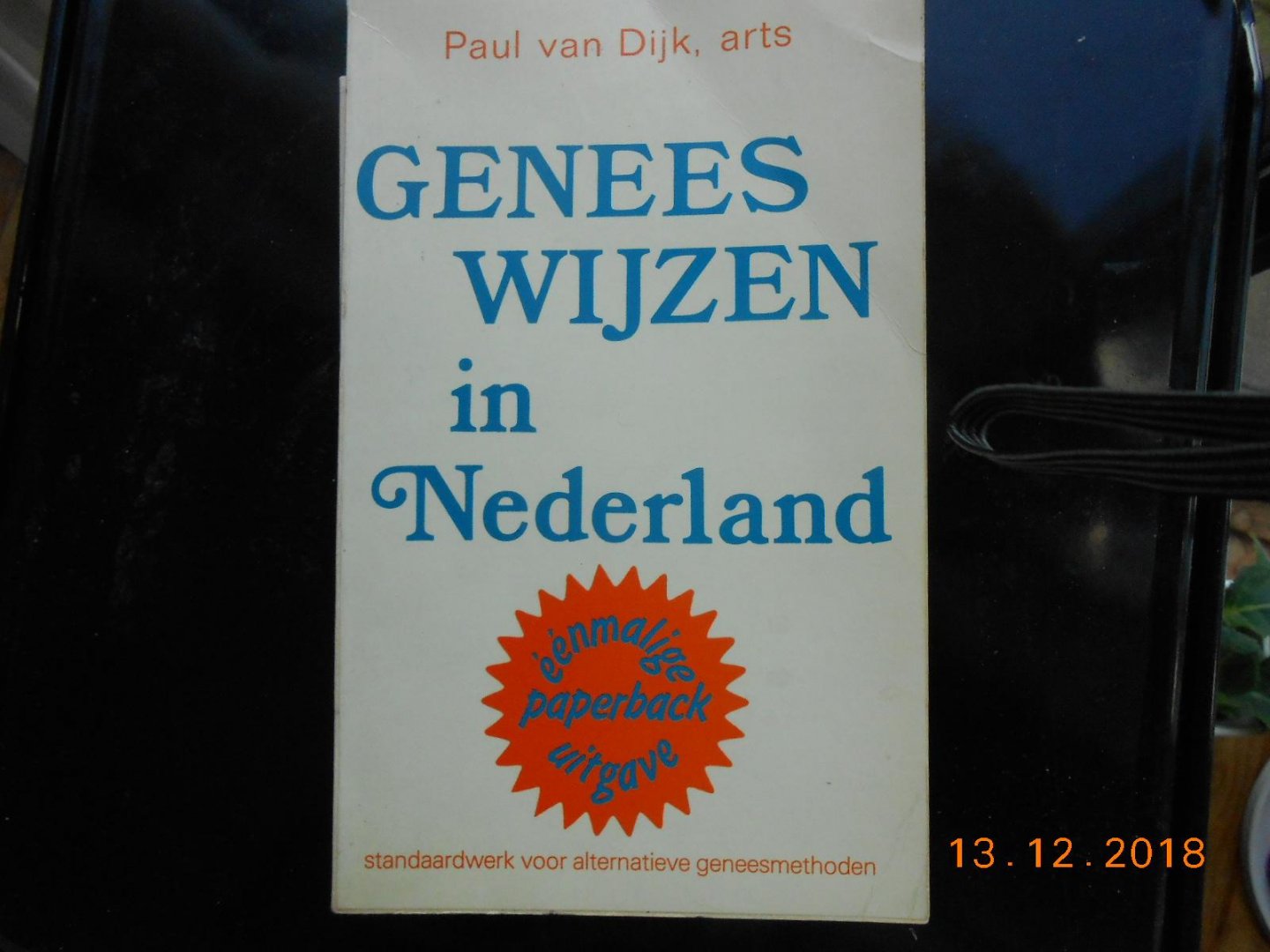Dyk Paul van arts - Geneeswyzen in nederland / druk 1