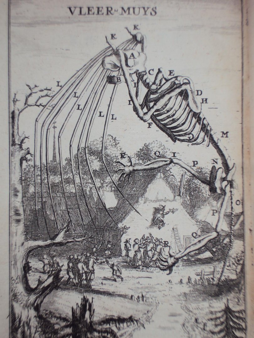 Cornelius van Dyk - Osteologia of nauwkeurige geraamt beschryving van verscheyde dieren
