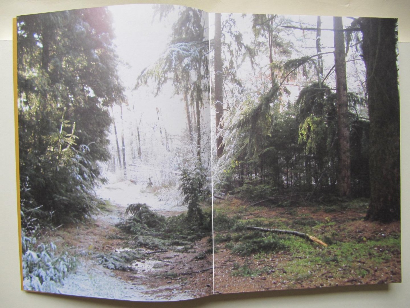 Buro Friedli van der Hoeven - Het Vijfde Seizoen