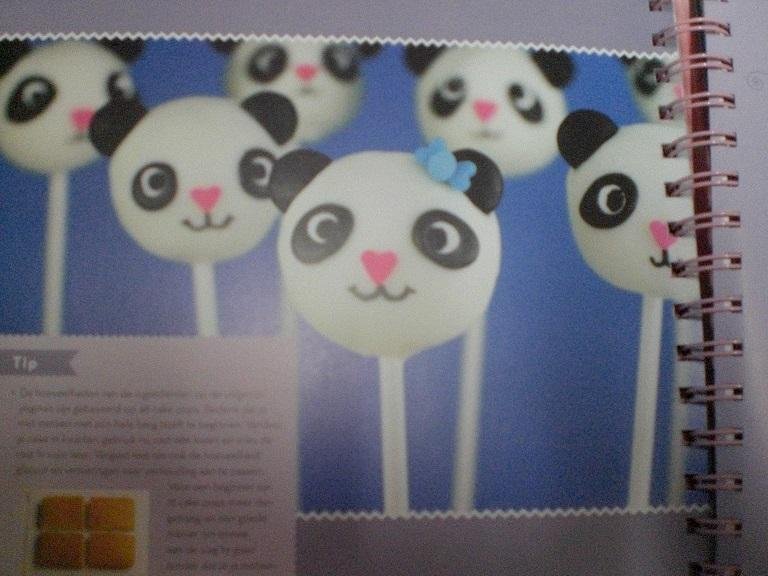 Dudley, Angie Bakerella - Cake pops / meer dan 40 recepten voor onweerstaanbare lollycakes