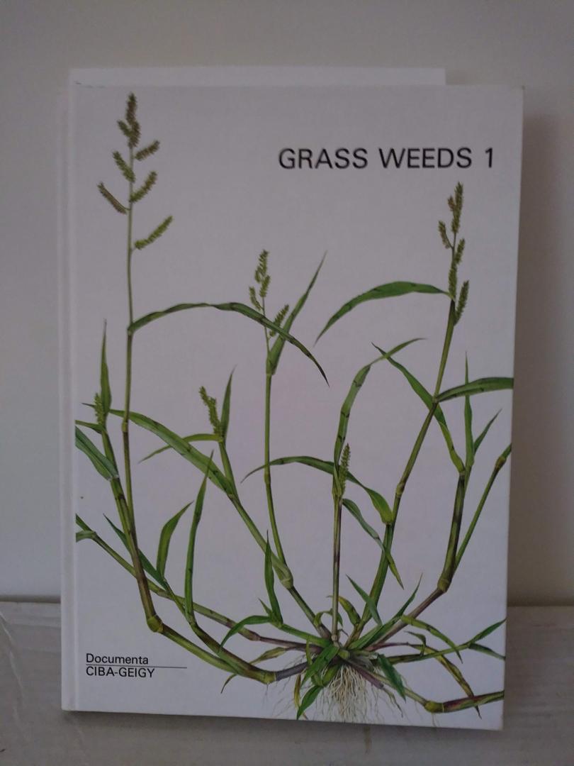 Ernst Haefliger - Grass weeds 1, Grass weeds 2, Monocot weeds 3
