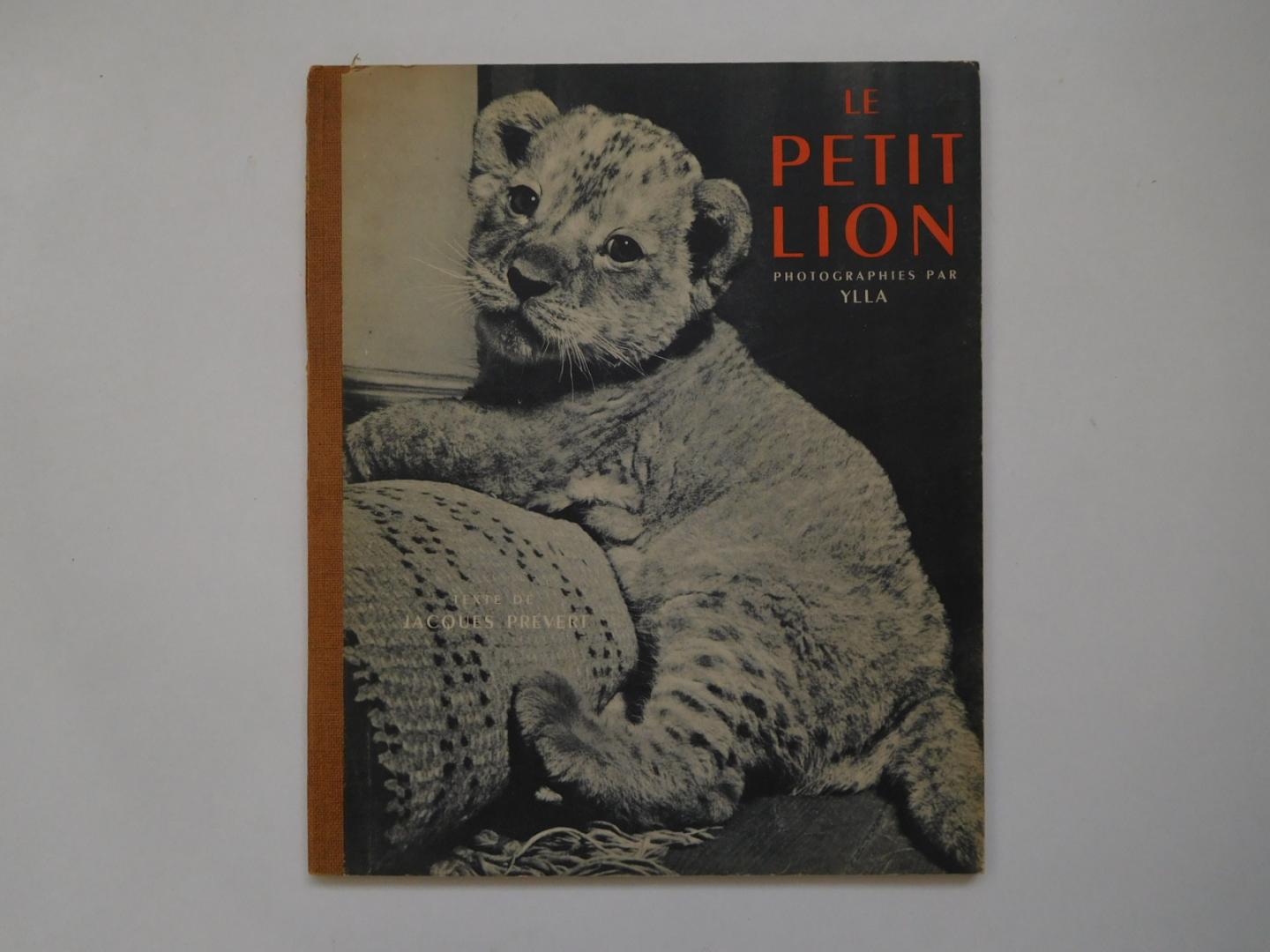 Jacques Prévert (tekst) en Ylla (fotografie) - Le Petit Lion
