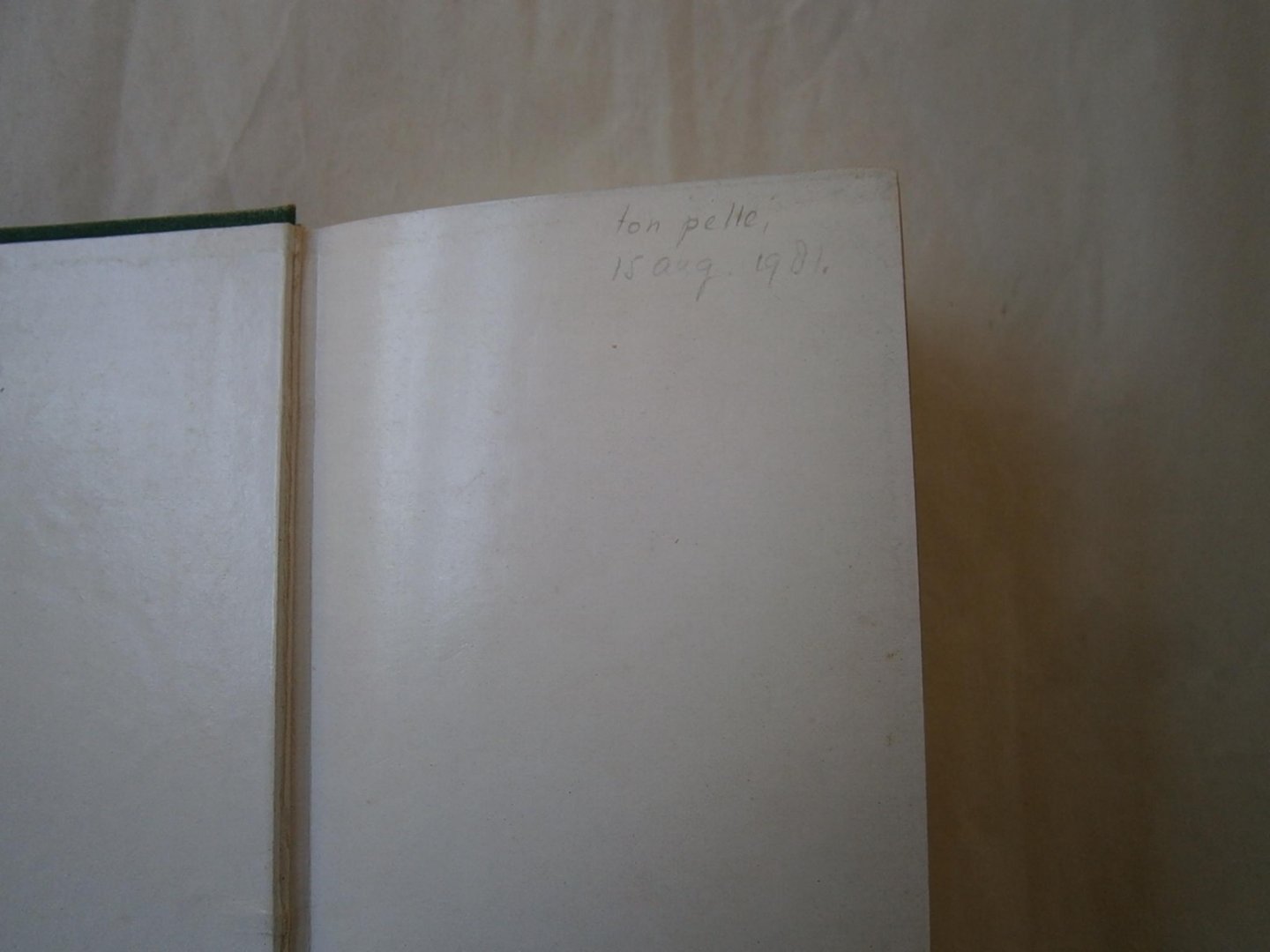 Gerok, Karl - Palmblätter