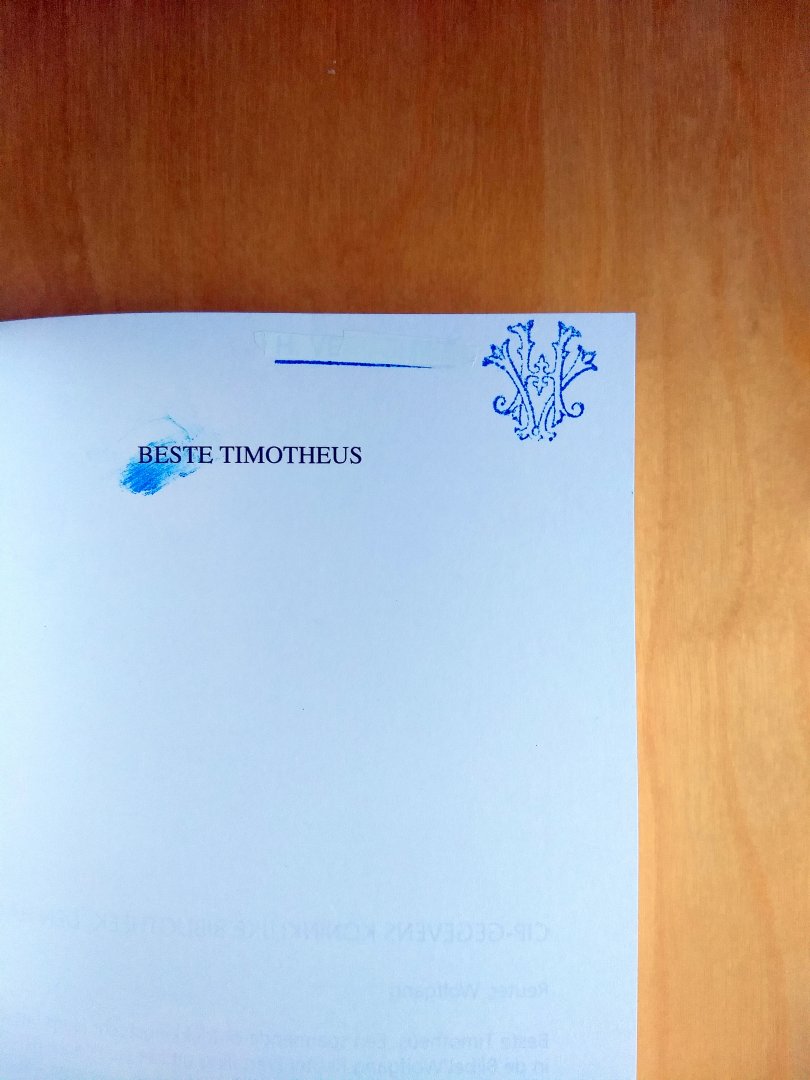 Reuter, W. - BESTE TIMOTHEÜS - Een spannende ontdekkingstocht langs brieven in de Bijbel