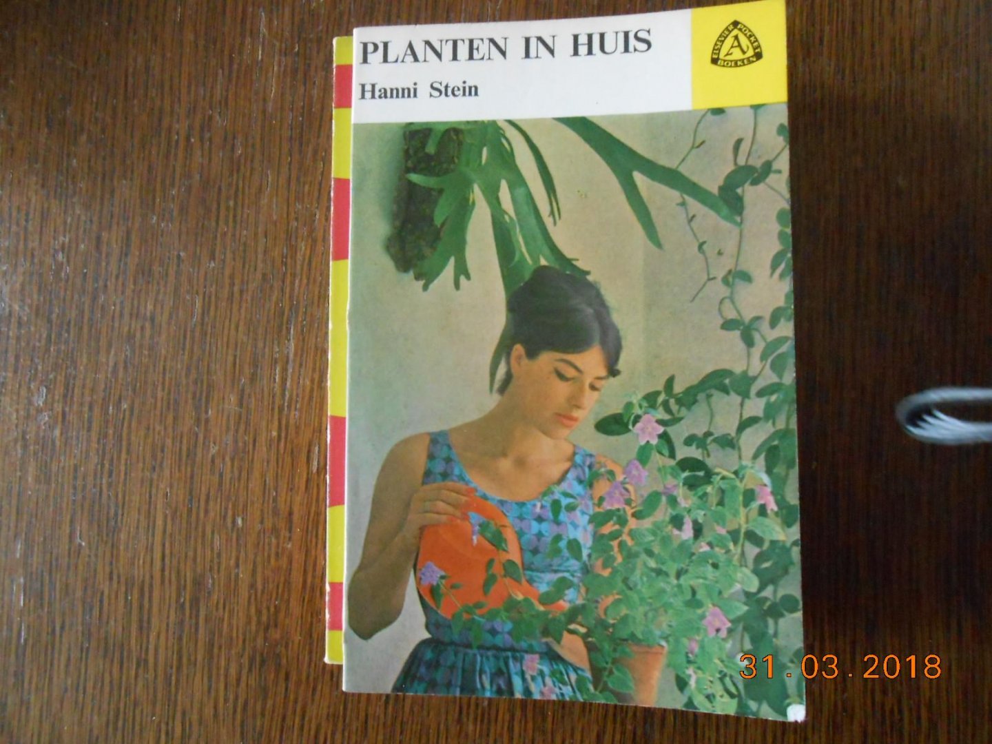 Hanni Stein - Planten in huis