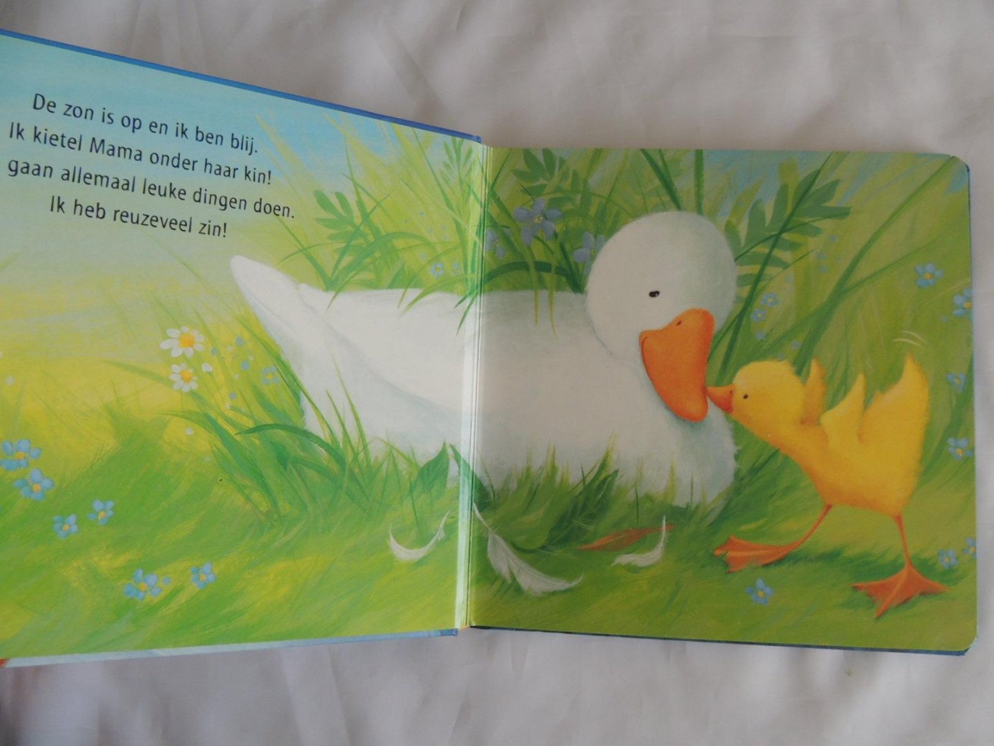 Claire Freedman; Caroline Pedler - Een knuffel voor Kleine Eend