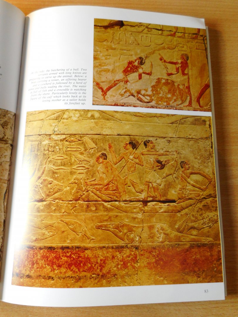 Carpiceci, Alberto Carlo - Art and history of Egypt. 5000 years of civlization.