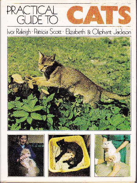 Raleigh, Ivor/Scott, Patricia/Jackson, Elizabeth & Oliphant - Practical Guide to Cats