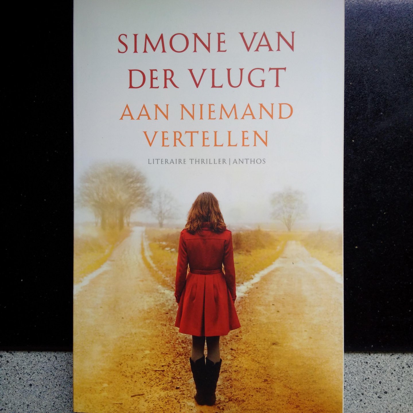 Vlugt, Simone van der - Aan niemand vertellen