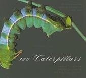 Miller, Jeffrey C - 100 Caterpillars - Portraits from the Tropical Forests of Costa Rica / Portraits from the Tropical Forests of Costa Rica