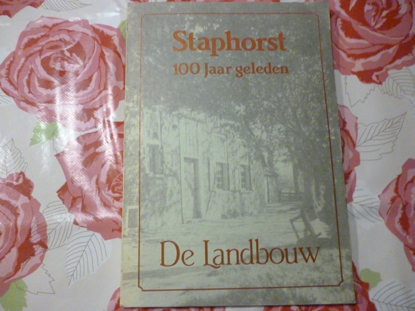 Baron van Dedem van de Rollecate - Staphorst 100 jaar geleden