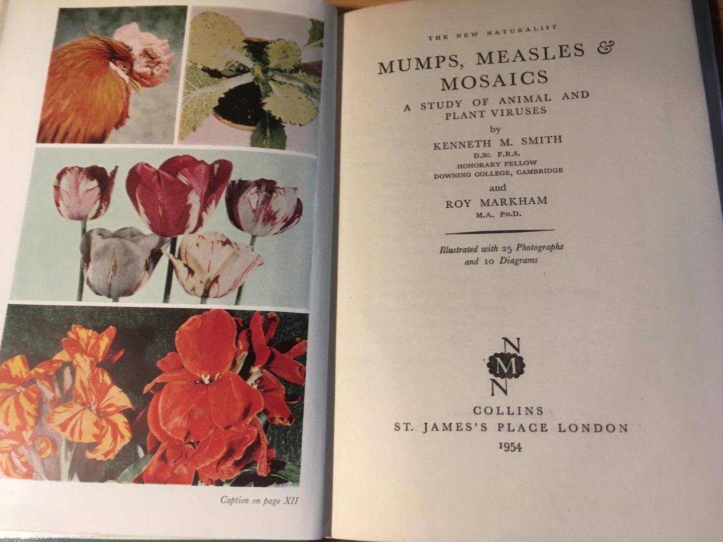 Smith, Kenneth M & Roy Markham - Mumps, Measles and Mosaics