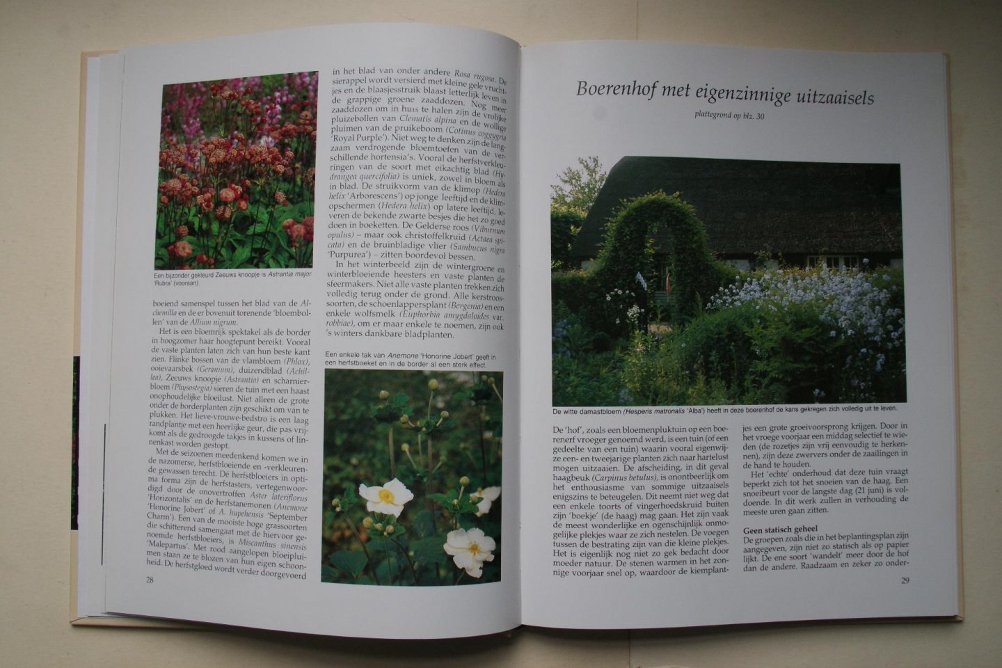 Horn, J. ten; W. Oudshoorn - De Onderhoudsvriendelijke Tuin ideeen voor ontwerp en beplanting