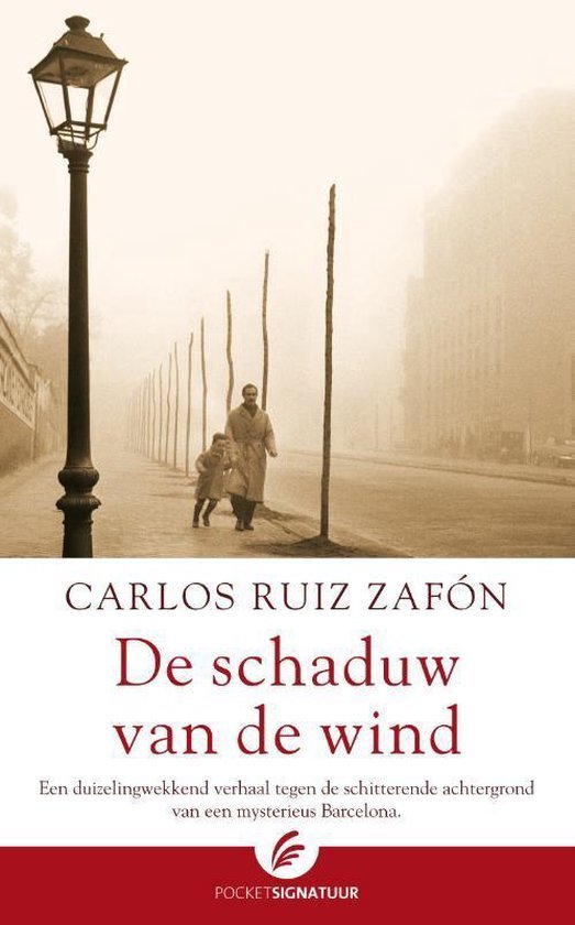 Carlos Ruiz Zafon - De schaduw van de wind
