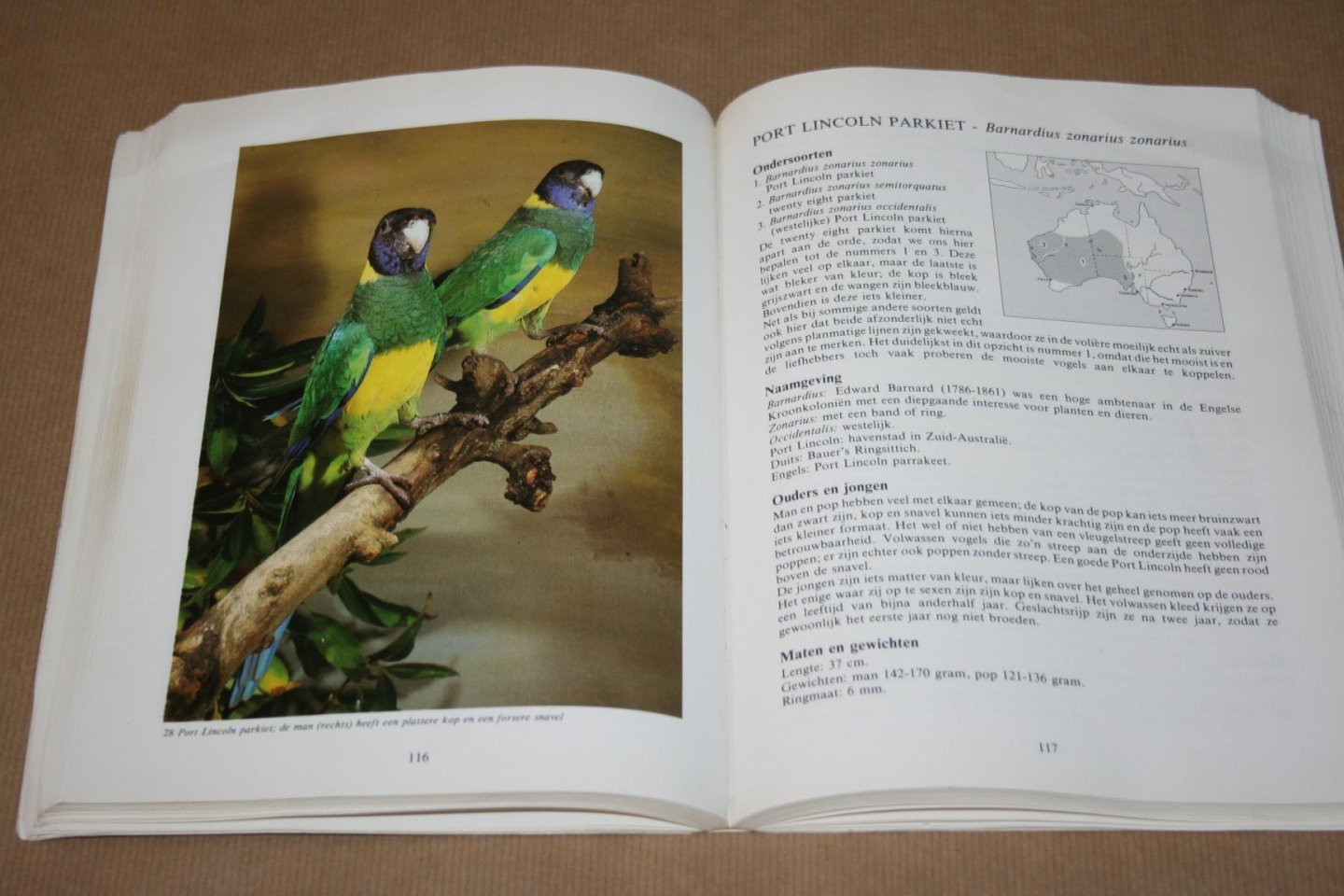 Herman Kremer - Australische parkieten en hun mutaties