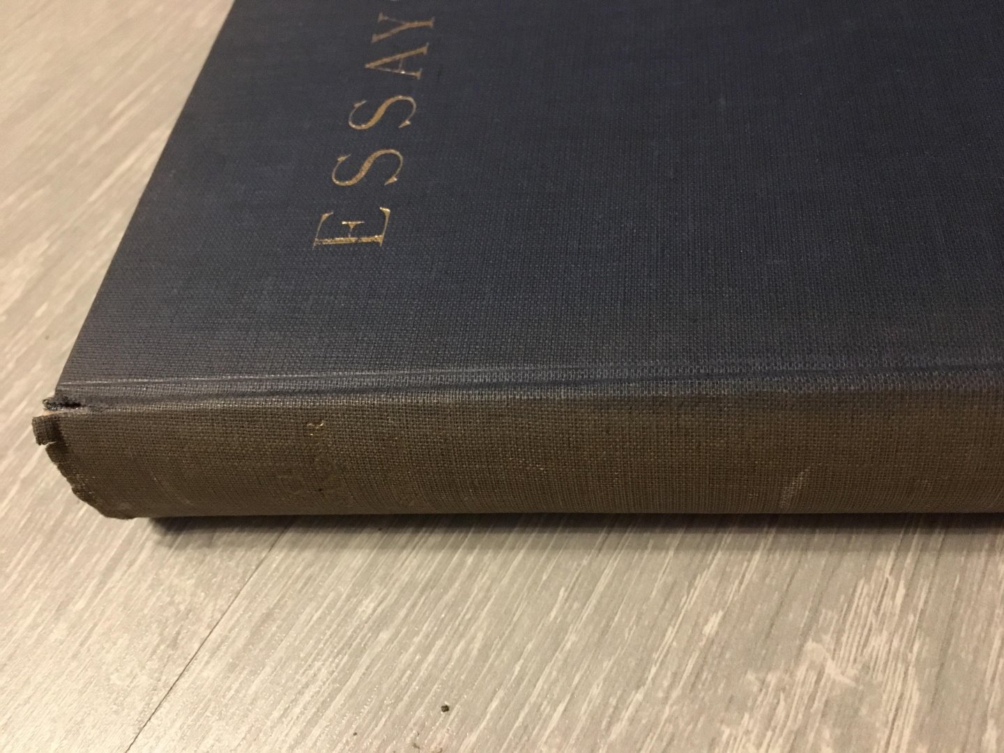 Max J. Friedländer - Essays Über die Landschaftsmalerei und andere Bildgattungen