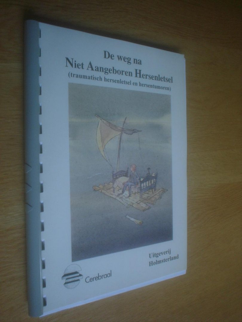 Voorn, S.B.M. van // Zomeren, A.H. van // Talma, H.F.en Hamaker, M.S. - De weg na Niet Aangeboren Hersenletsel (traumatisch hersenletsel en hersentumoren).