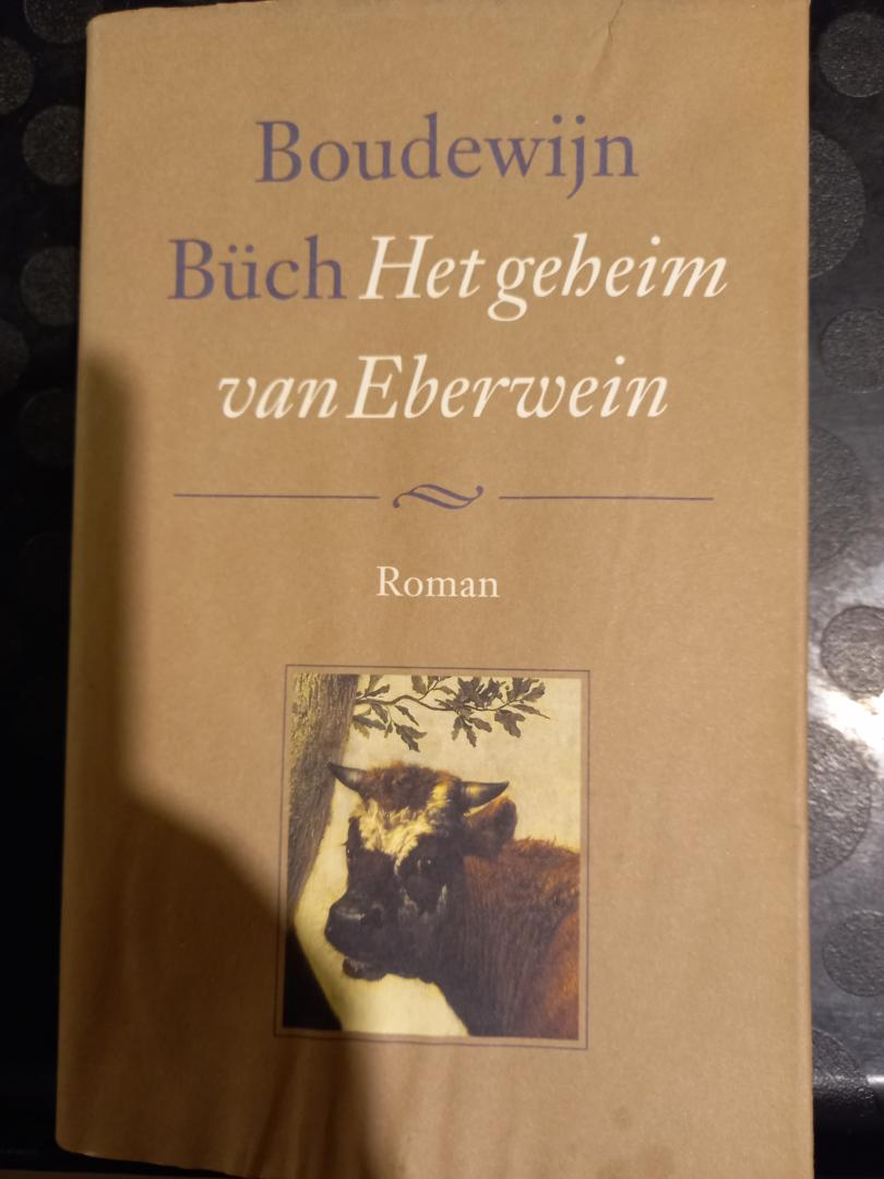 Buch, Boudewijn Maria Ignatius - Het geheim van Eberwein. Roman.