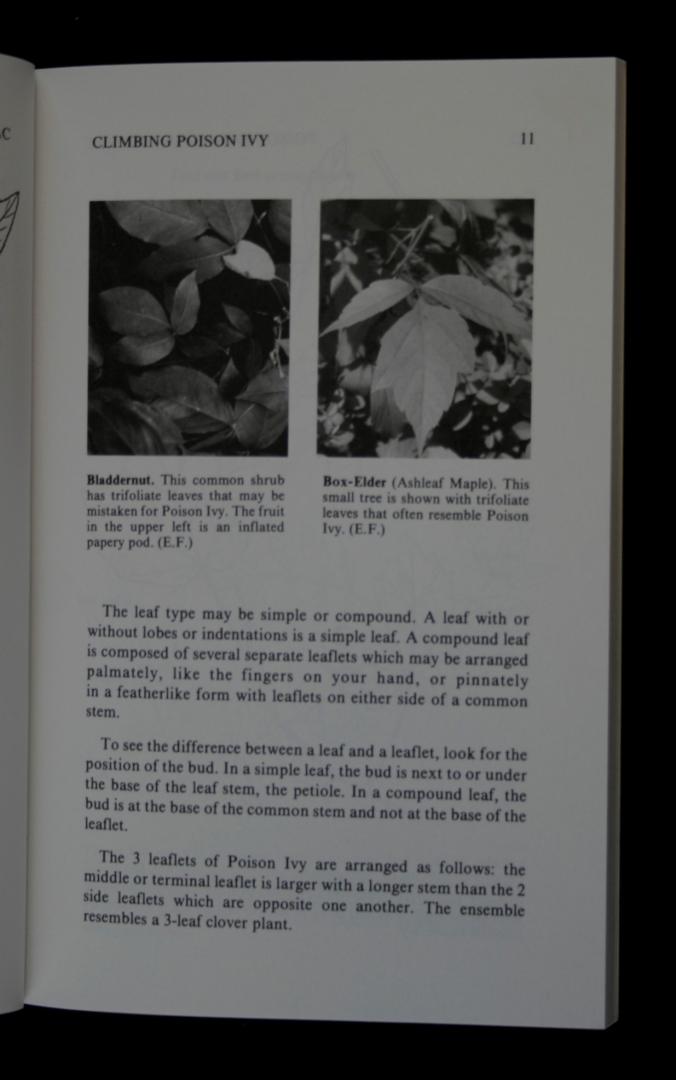 Frankel, Edward - Poison ivy, poison oak, poison sumac and their relatives pistachios, mangoes, cashews (5 foto's)