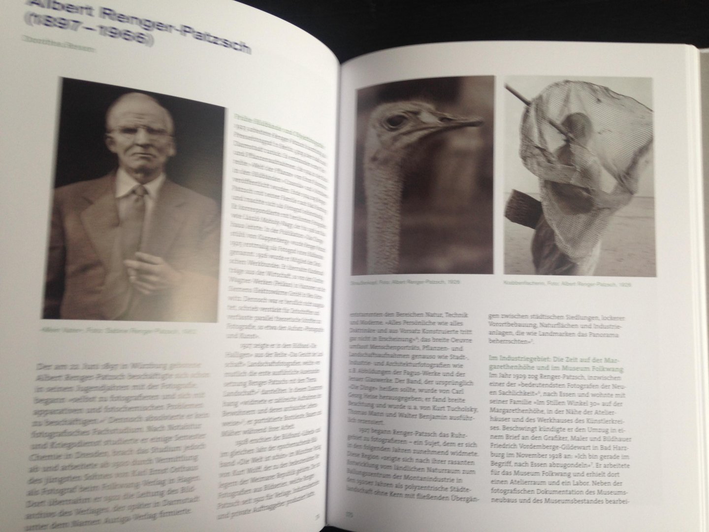 Grütter, Heirich Theodor & Axel Heimsoth - Aufbruch im Westen, Die Künstlersiedlung Margarethen Henhöhe