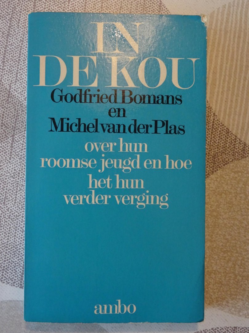 Bomans, Godfried en Michel van der Plas - In de kou; over hun roomse jeugd en hoe het hun verder verging