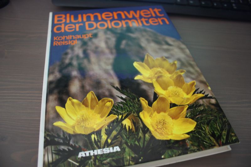 Kohlhaupt Paula en Reisigl Univ.-Prof. Dr. Herbert - Blumenwelt der Dolomiten / Dolomieten