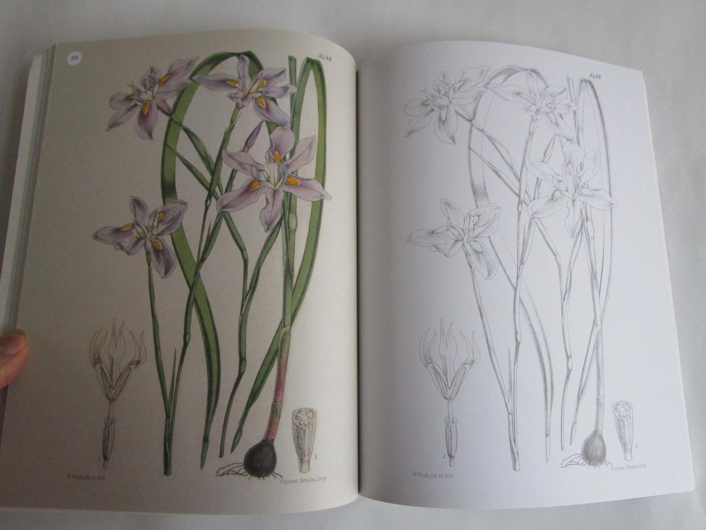 Arcturus Holdings Limited  (redactie) - Het Kew Gardens bloeiende planten (KLEURboek) - meer dan 40 prachtige afbeeldingen met kleurvoorbeeld -