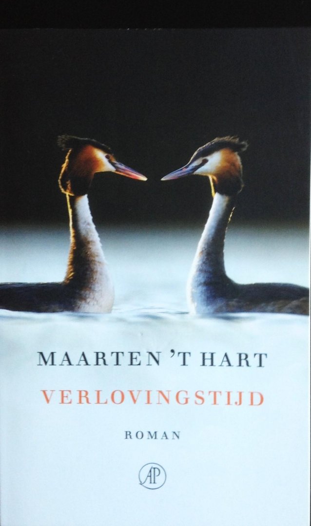 Hart, Maarten 't - Verlovingstijd