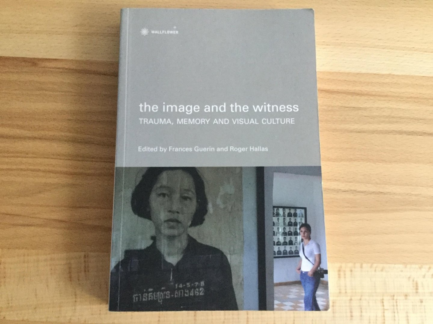 Frances Guerin, Roger Hallas - The Image and the Witness - Trauma, Memory, and Visual Culture