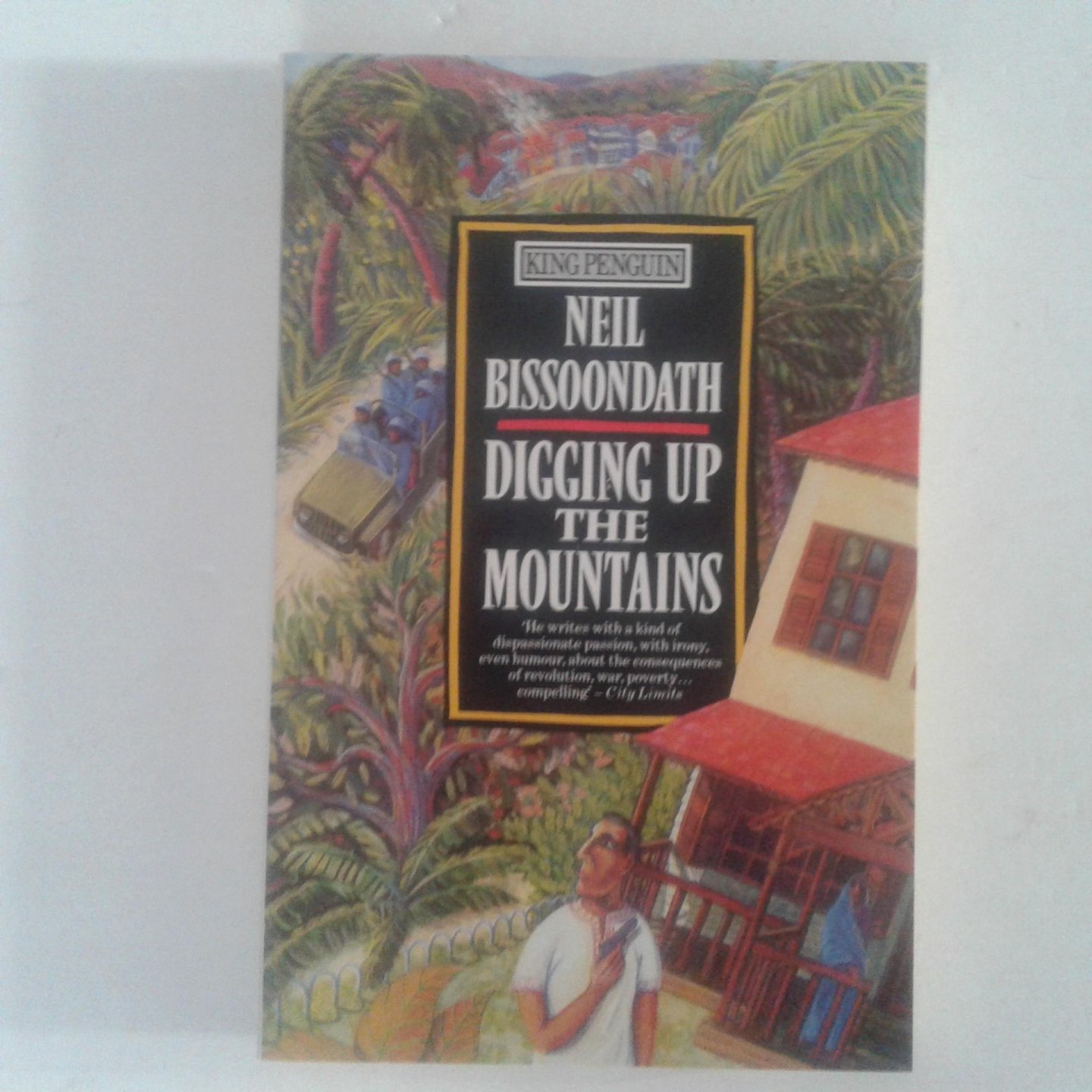 Bissoondath, Neil - Digging up the Mountains