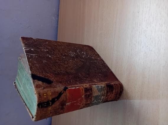 Teschler, Wilfried - Polariteitsmassage. Het voetenboek