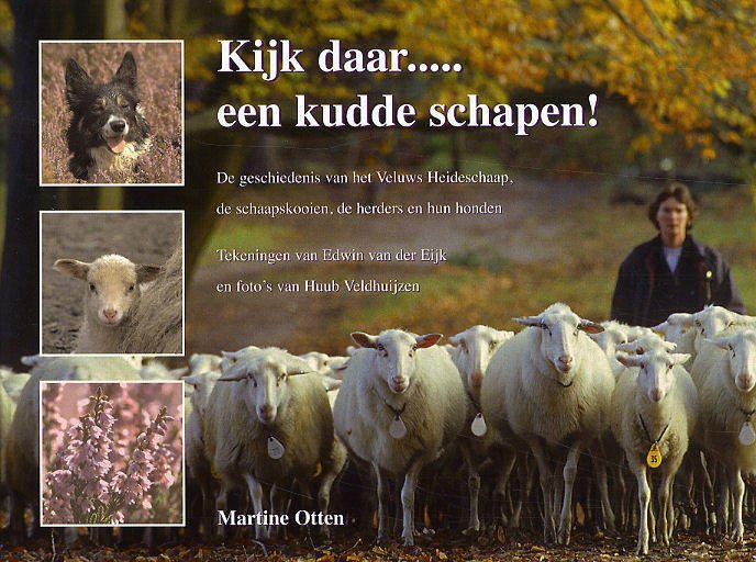 Otten, Martine ; Edwin van der Eijk en Huub Veldhuijzen - Kijk daar... een kudde schapen ! De geschiedenis van het Veluws Heideschaap, de schaapskooien, de herders en hun honden.