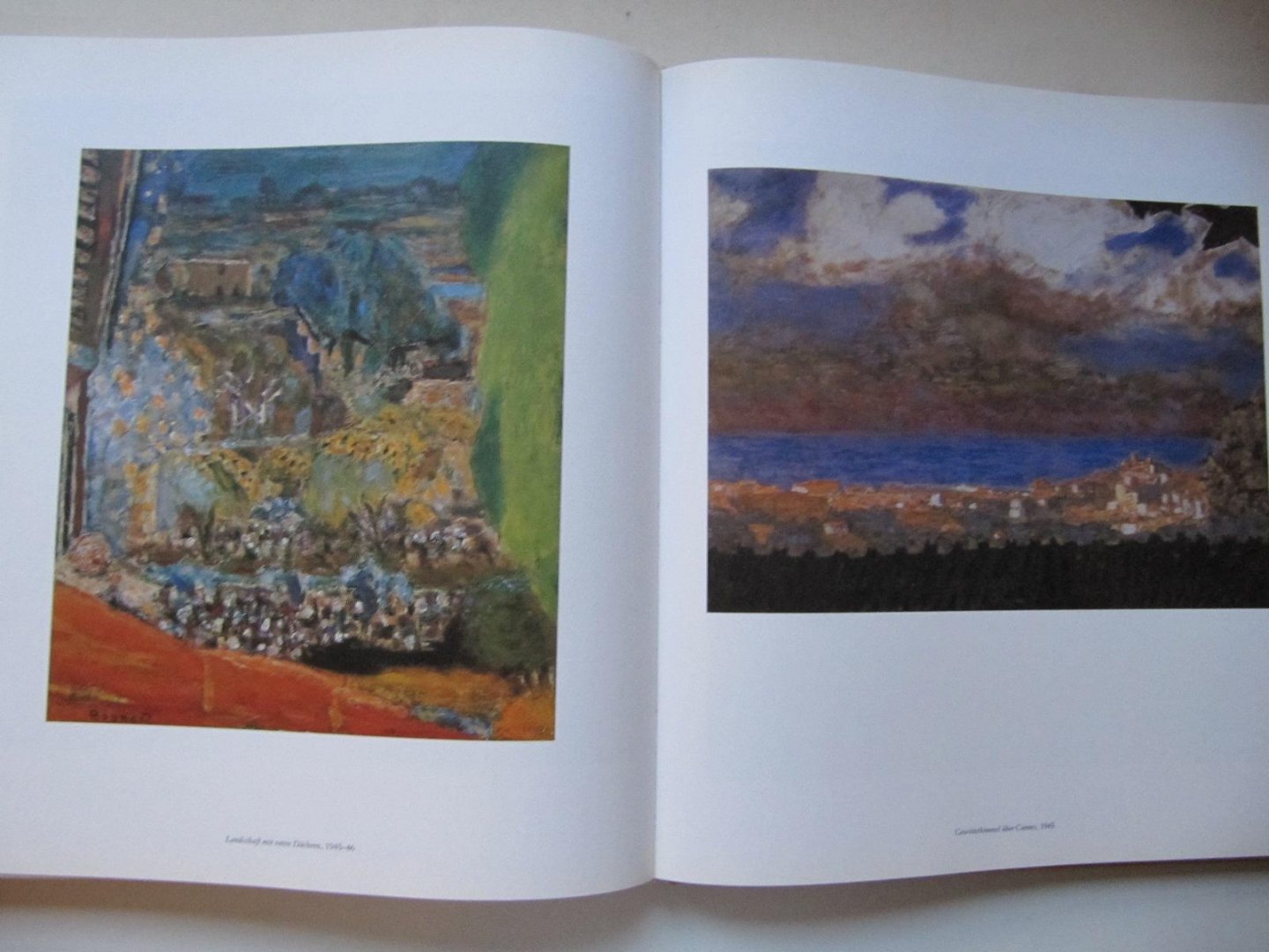 Antoine Terrasse - Bonnard, Leben und Werk