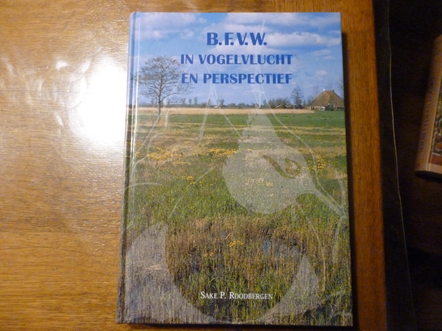 Roodbergen, S.P. - B.F.V.W. in vogelvlucht en perspectief