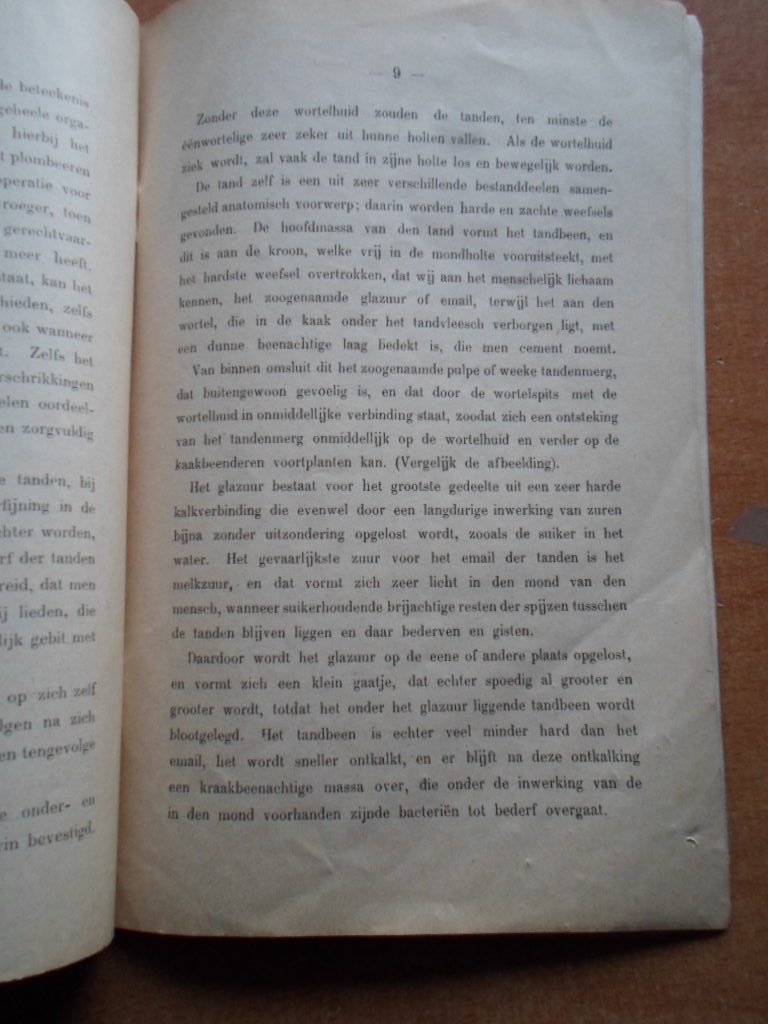 Römer, Dr.Oskar - Brochure De beteekenis der Tandenreiniging met betrekking tot het welzijn van het geheele lichaam