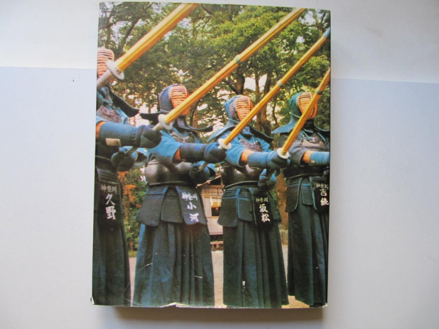 Michael Random - The Martial Arts - Swordsmanship Kendo Aikido Judo Karate