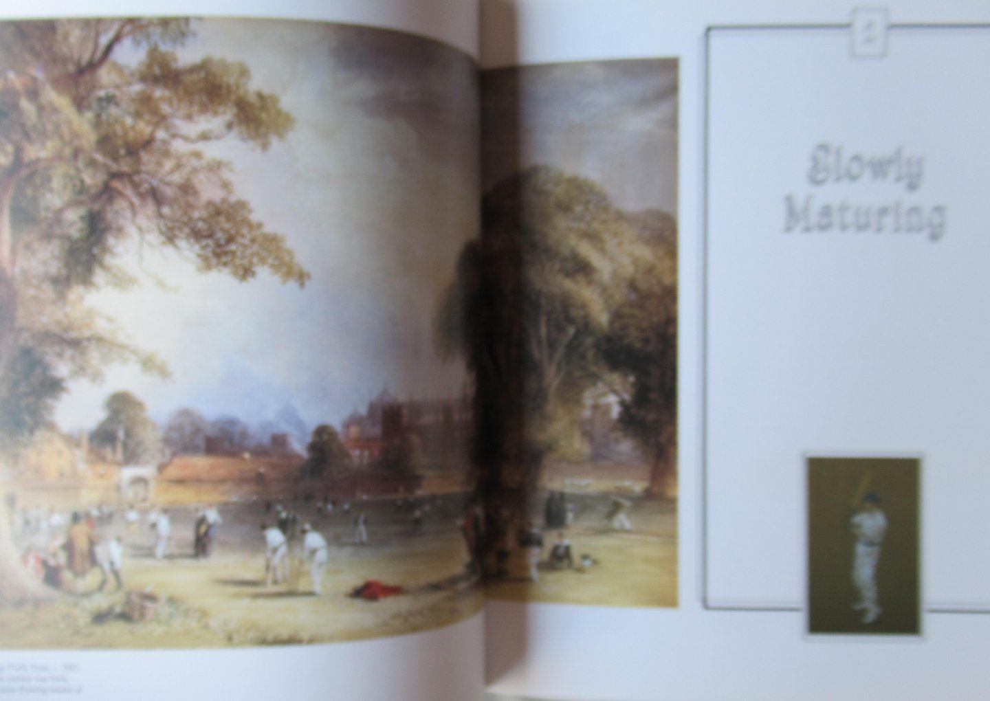 Rayvern Allen David - Cricket An illustrated history