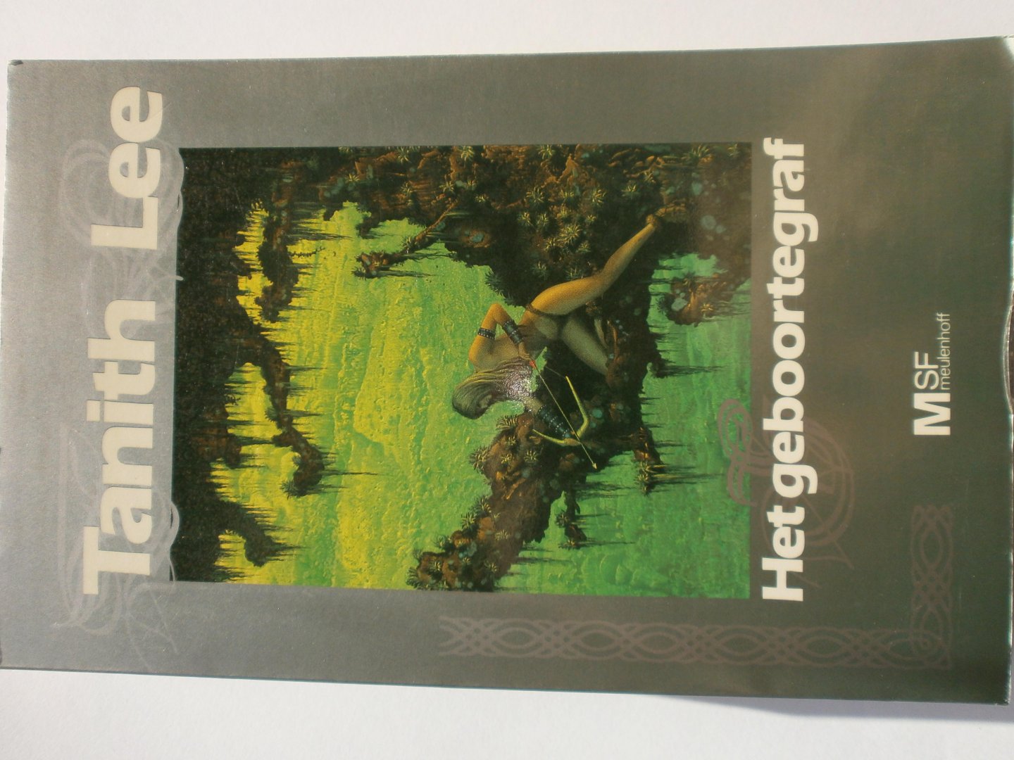 Lee, Tanith - Het geboortegraf