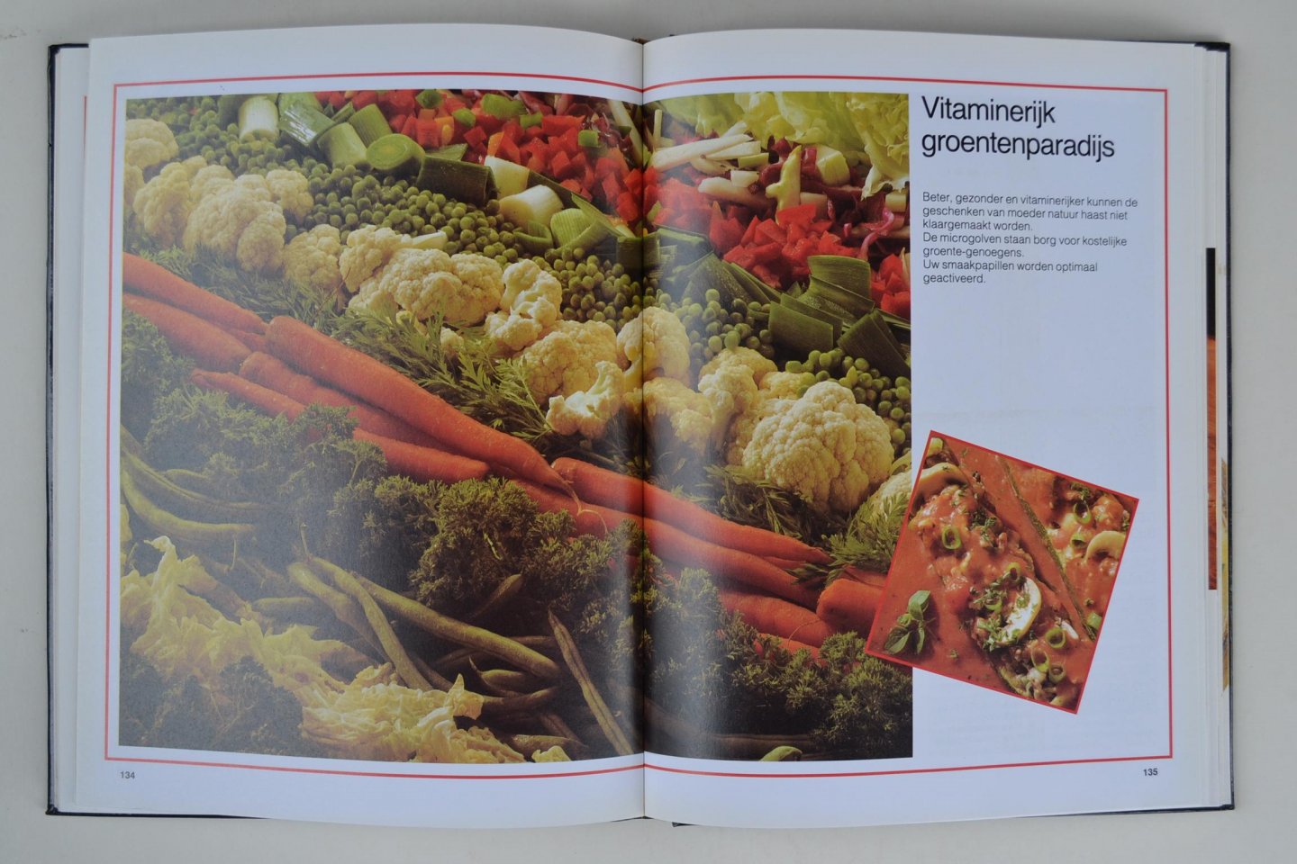 Damsma, Margriet - Het grote Magnetron Kookboek
