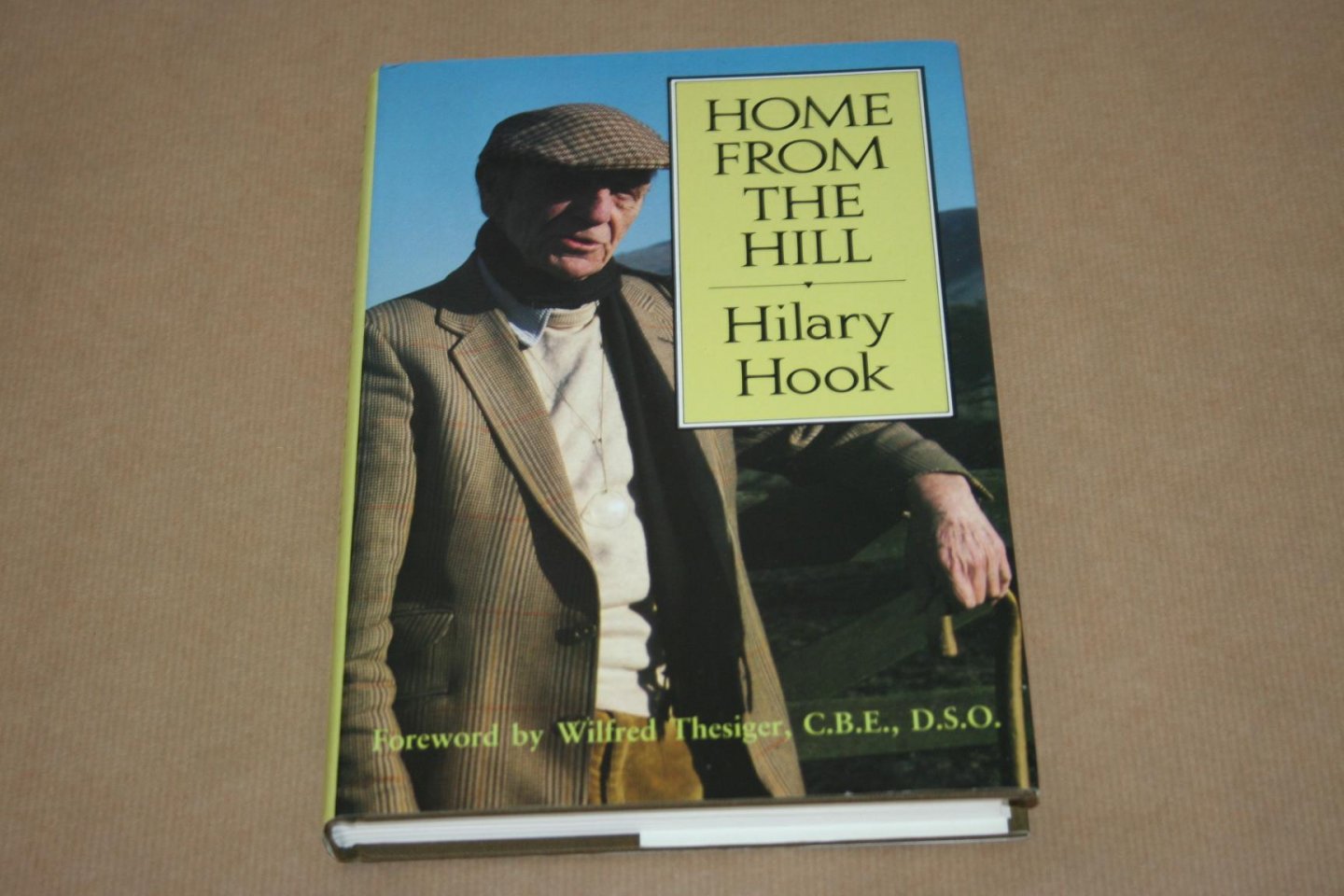 Hilary Hook - Home from the Hill