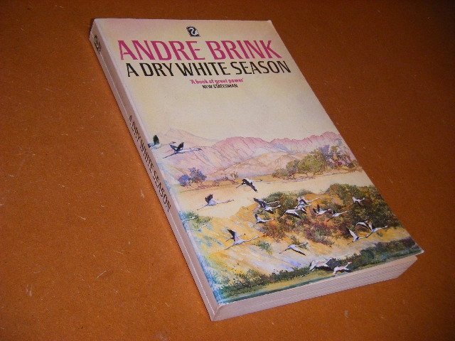 Andre Brink - A Dry White Season