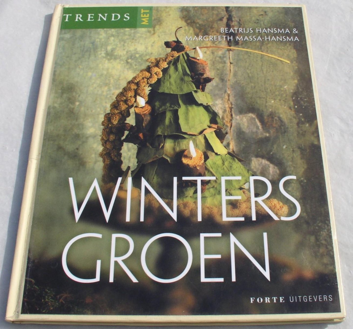 Hansma, Beatrijs & Massa-Hansma, Margreeth - Trends met winters groen
